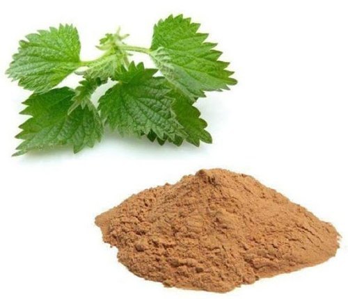 Stinging Nettle Extract - Yellow Brown Powder, 100% Pure Herbal Extract For Food, Pharma, And Cosmetic Applications