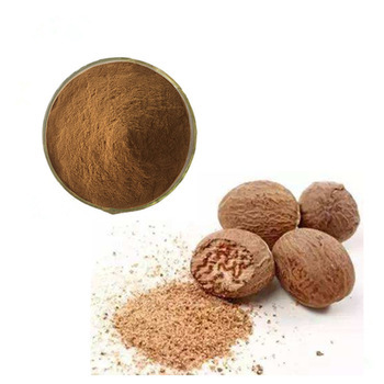 Nutmeg Extract - Myristica Fragrans Her 10:1 Fine Powder | Food, Pharma, Cosmetic Grade, 24 Months Shelf Life, Natural Herbal Extract