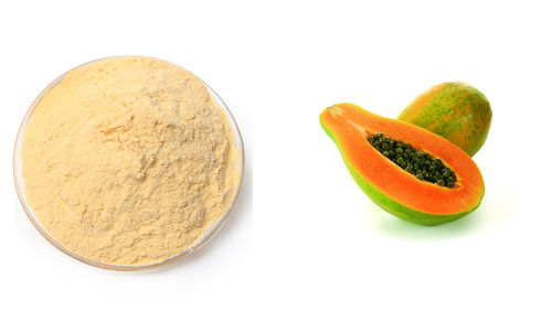 Papaya Extract (Carica Papaya Extract)