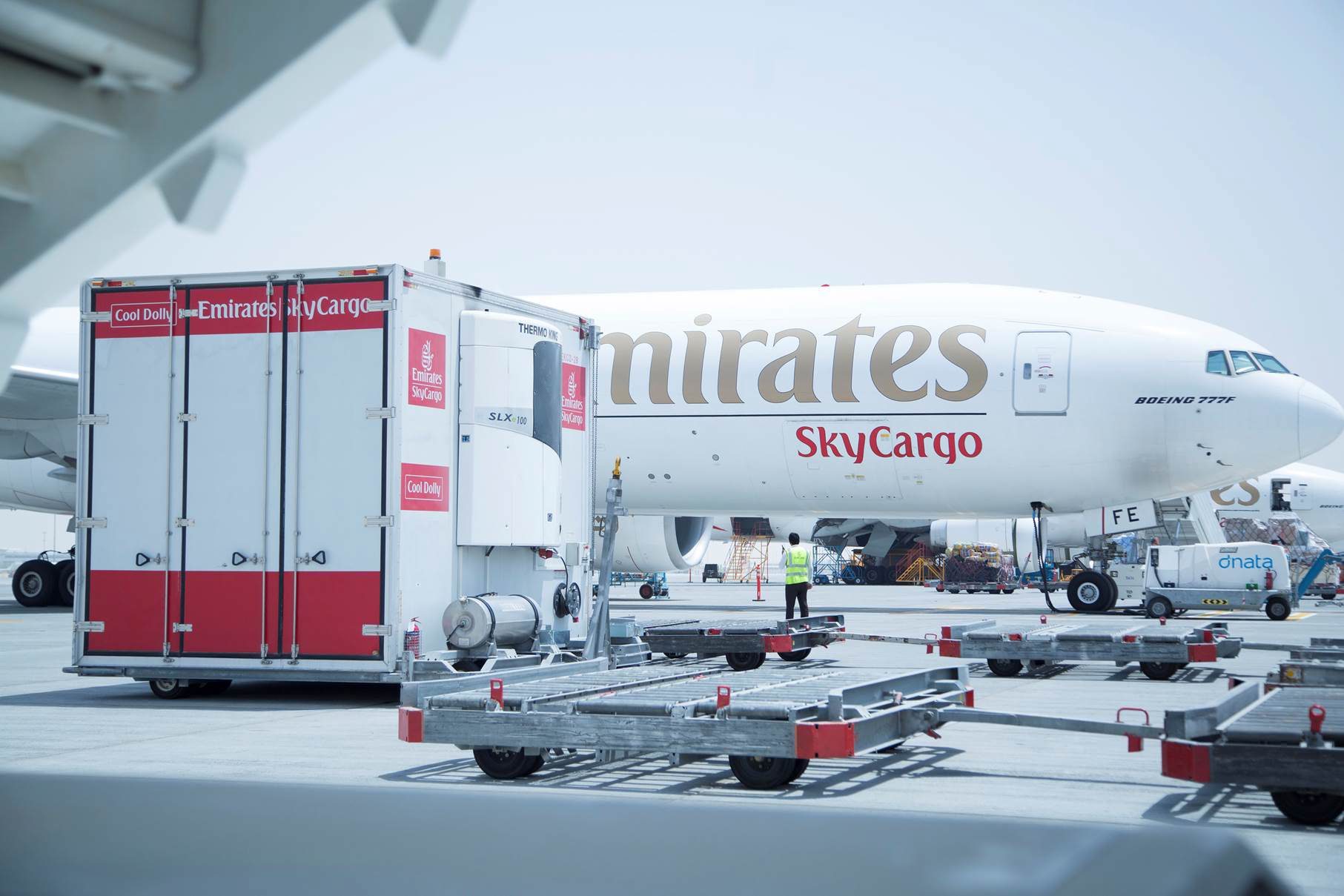 Air Cargo Services - Reliable Delivery Solutions | Fastest Same Day & Next Flight Out Options, Advanced Tracking Systems