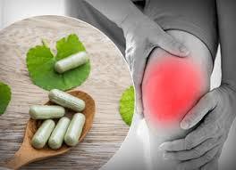 ऑर्थो पेन कैप्सूल