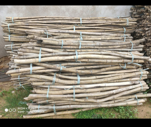 कच्ची लकड़ी