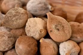 Baheda Herbs - Dried Herb Powder | Adults, 1-2 Teaspoons, Mix with Honey or Warm Water, Store in Cool Dry Place