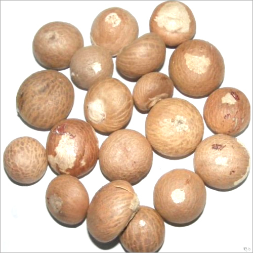 Betel Nuts