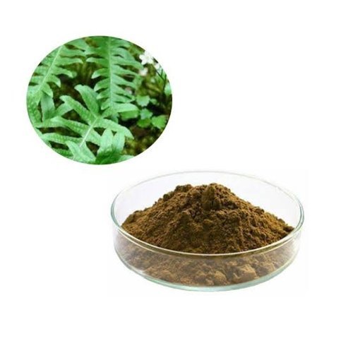 Polypodium Extract (Phlebodium Aureum Extract0