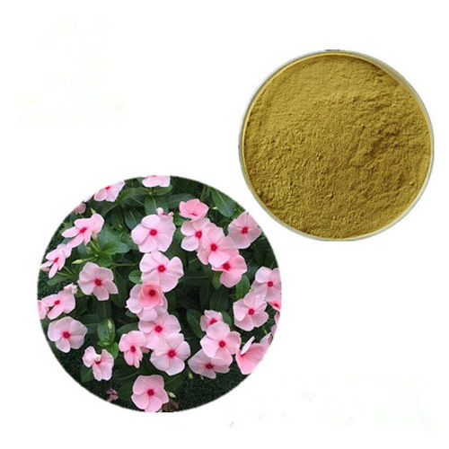 Sadabahar Extract (Vinca Rosea Extract)