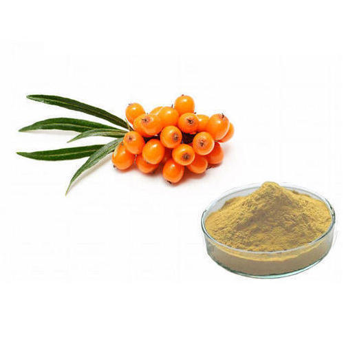 Seabuckthorn Extract (Hippophae Rhamnoides Extract)
