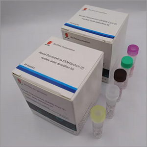 Novel Coronavirus Nucleic Acid Detection Kit
