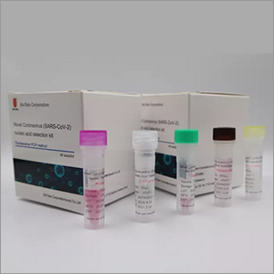 Novel Coronavirus Nucleic Acid Detection Kit