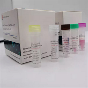 Novel Coronavirus Nucleic Acid Detection Kit