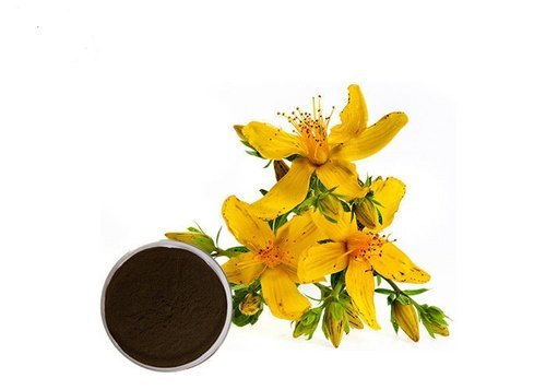St.johns Wort Extract (Hypericum Perforatum L Extract)