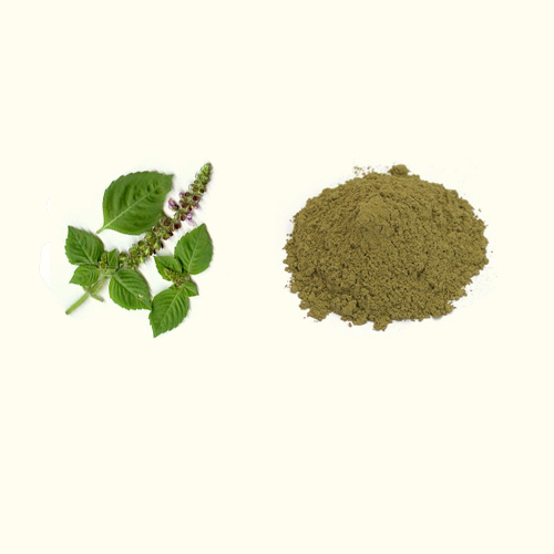 Tulish Patra Extract (Taxus Baccata Extract)