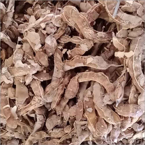 Fresh Tamarind - Weight As Per Requirement Drams (Dr) | Brown Color, Fresh Style, Versatile For Culinary Uses