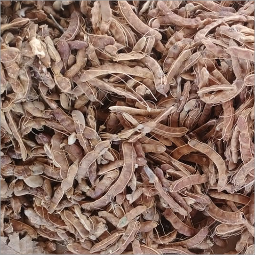 Fresh Tamarind - Weight As Per Requirement Drams (Dr) | Brown Color, Fresh Style, Versatile For Culinary Uses