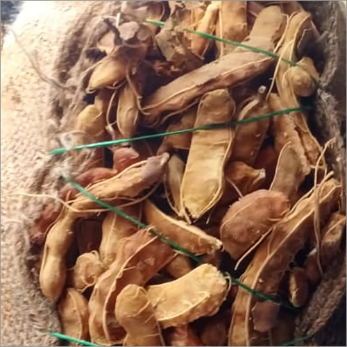 Fresh Tamarind - Weight As Per Requirement Drams (Dr) | Brown Color, Fresh Style, Versatile For Culinary Uses