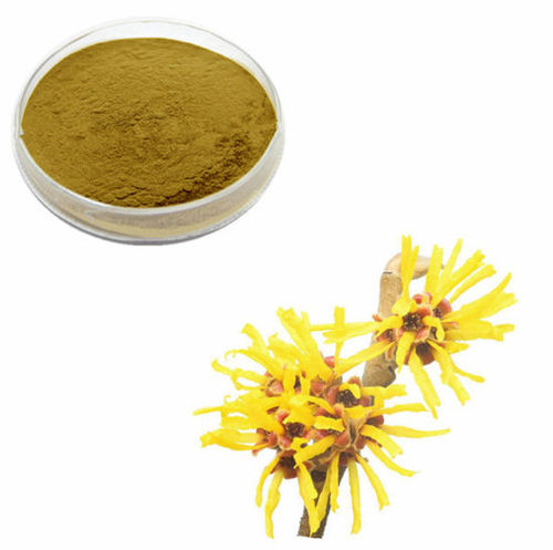 Witch Hazel Extract (Hamamelis Virginiana Extract)