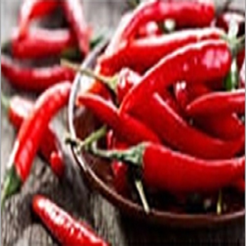 Red Chili - Blended Powder | Age-Old Recipe, Fiery Flavor, Attractive Natural Red Color, Special Varieties of Indian Red Chilies