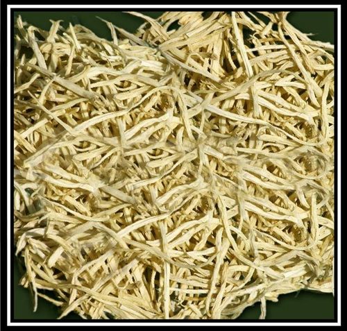 Safed Musali Powder Purity(%): 100 %