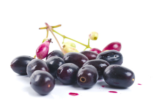 जम्बू बीज पाउडर शुद्धता (%): 100%