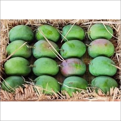 ऑर्गेनिक फ्रेश कच्चा मैंगो अल्फोनोस