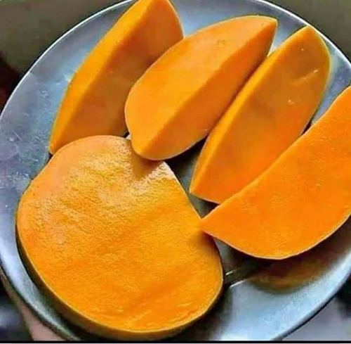 ऑर्गेनिक नेचुरल कच्चा मैंगो अल्फोनोस