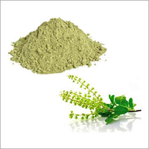 Tulsi Extract