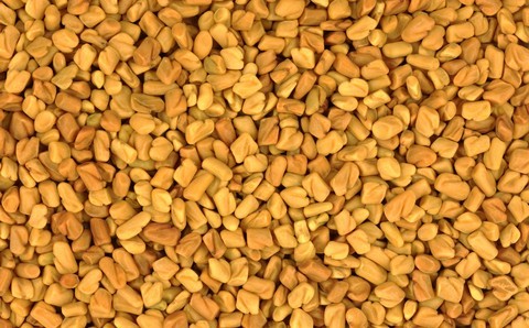 मेथी पाउडर की शुद्धता (%): 100%