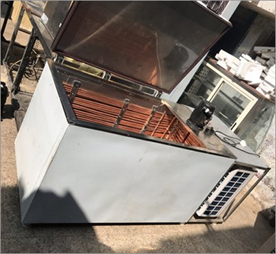 Blue Star Candy Plant - Color: White