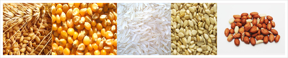 Keshavam International Banner Keshavam International Banner