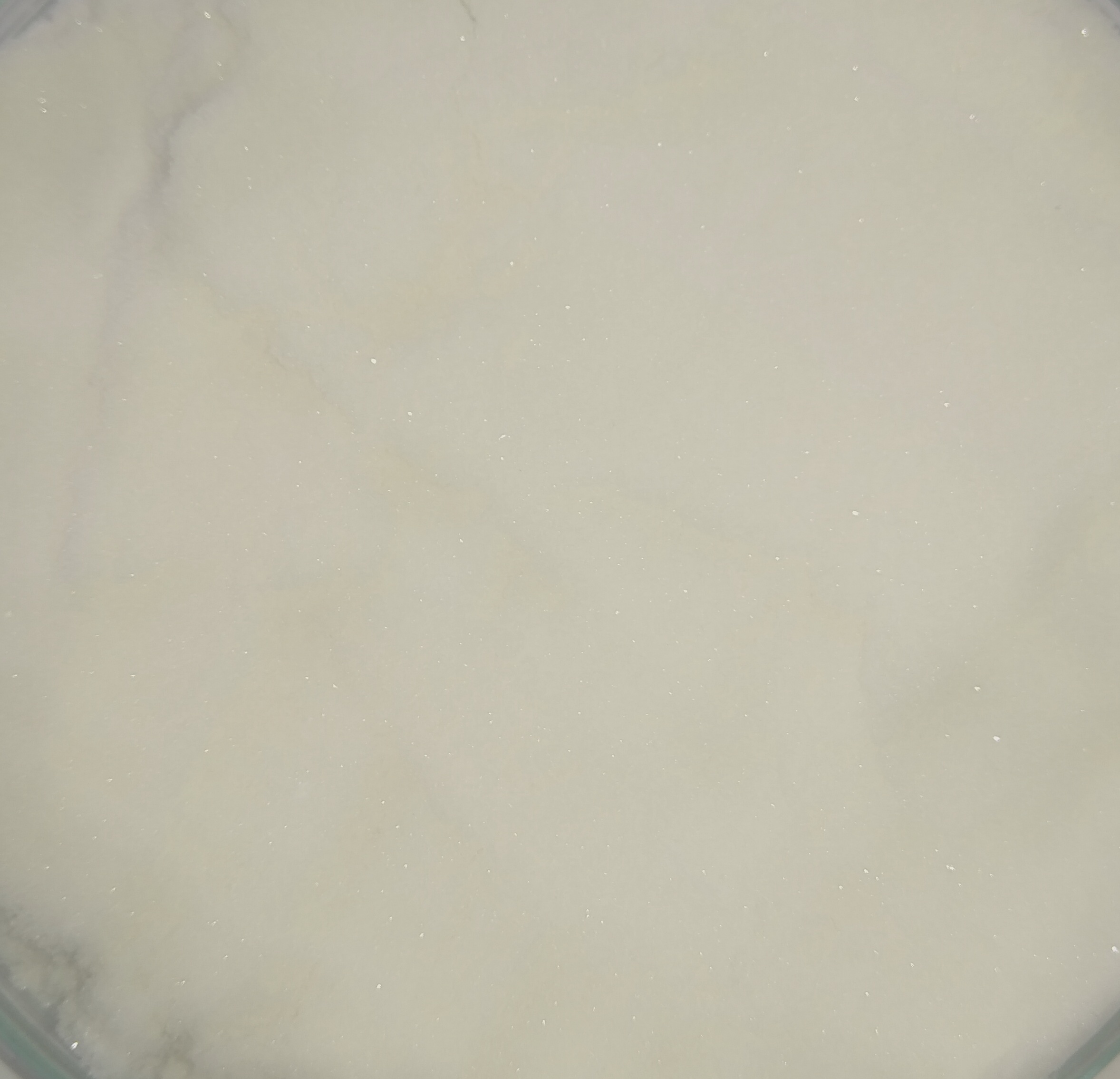 Anionic Flocculant - High Performance Polymer Powder | Effective Wastewater Treatment Solutions, Enhanced Sludge Settling