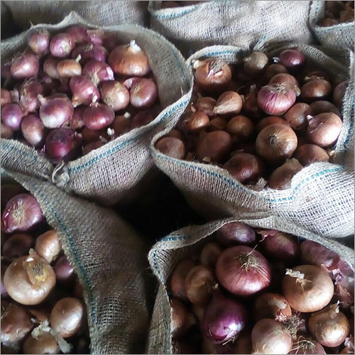 Fresh Red Onion