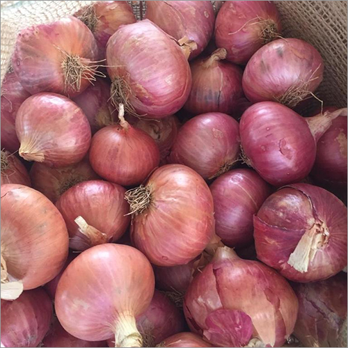Natural Onion