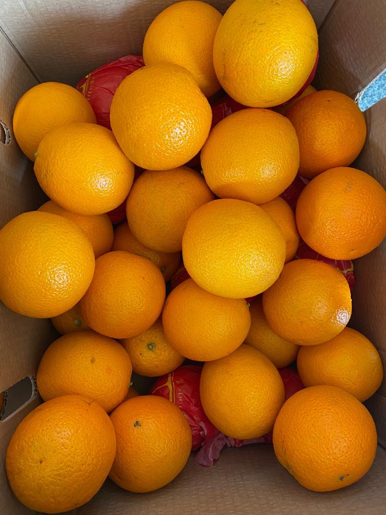 Organic Valencia Orange