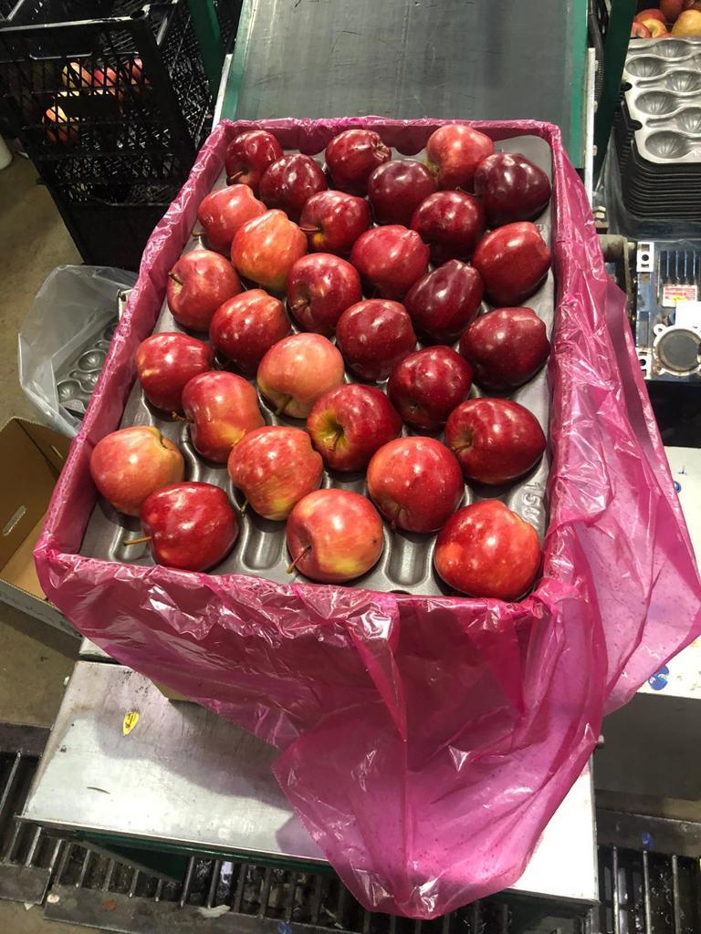 Apple Rd