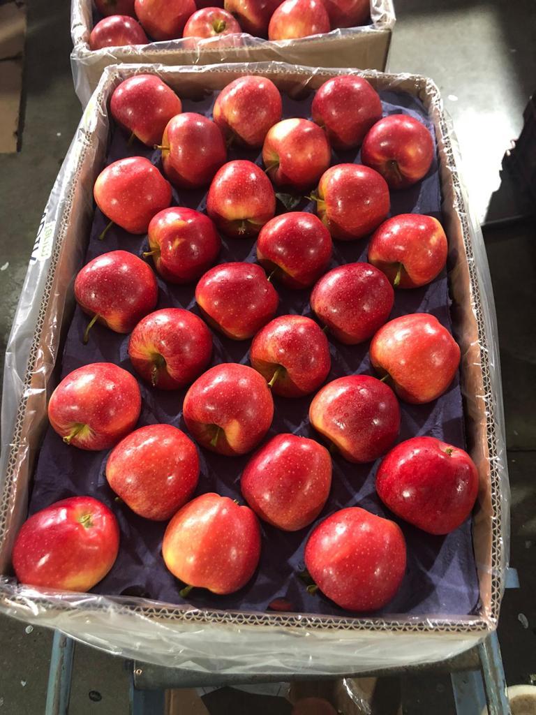 Apple Rd