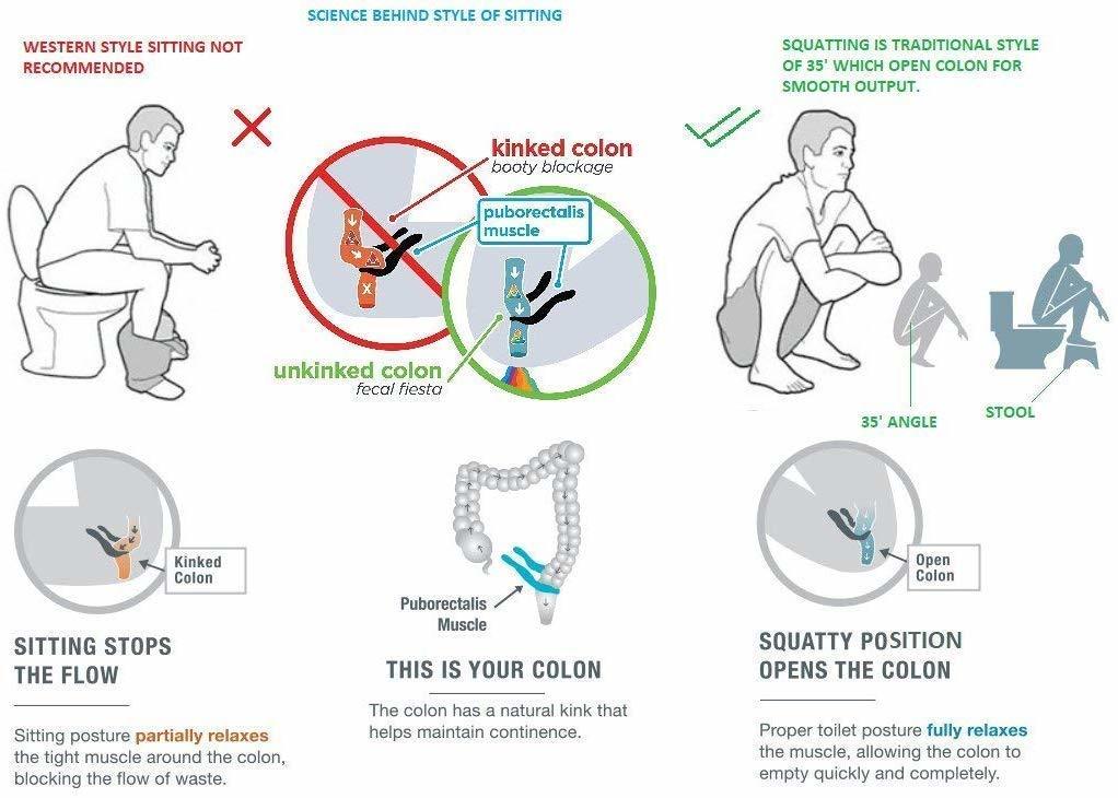 Toilet Tool
