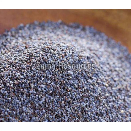 खसखस के बीज