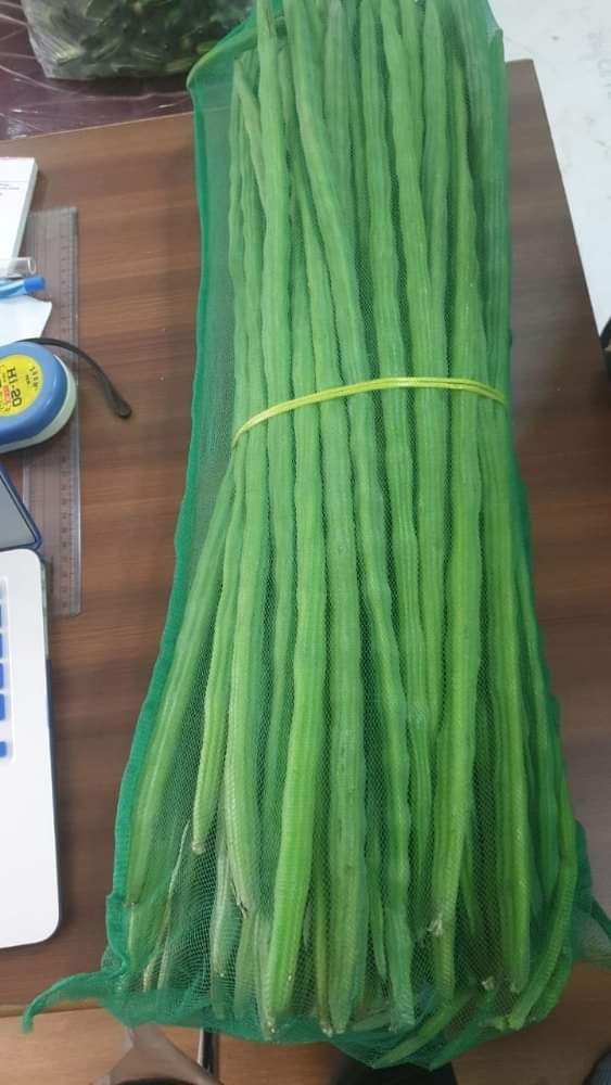 Long Fresh Drumsticks