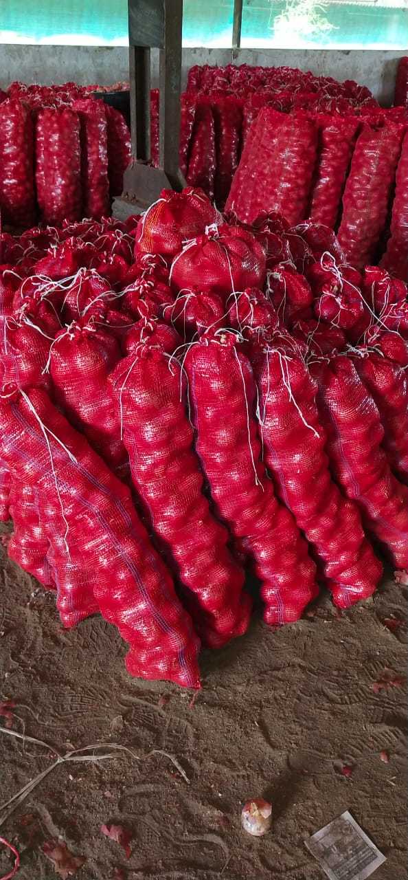 Onion Super Quality(large) Preserving Compound: No