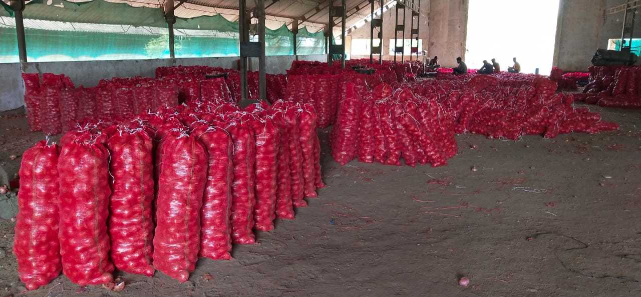 Onion Super Quality(large) Preserving Compound: No