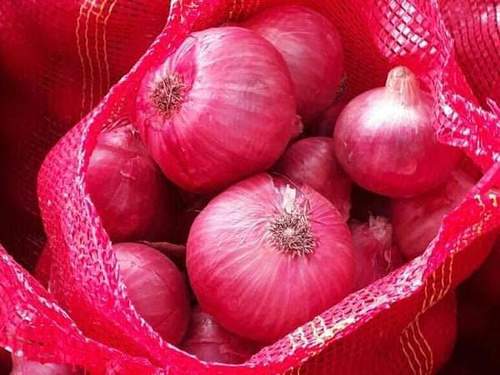 गोल लाल प्याज