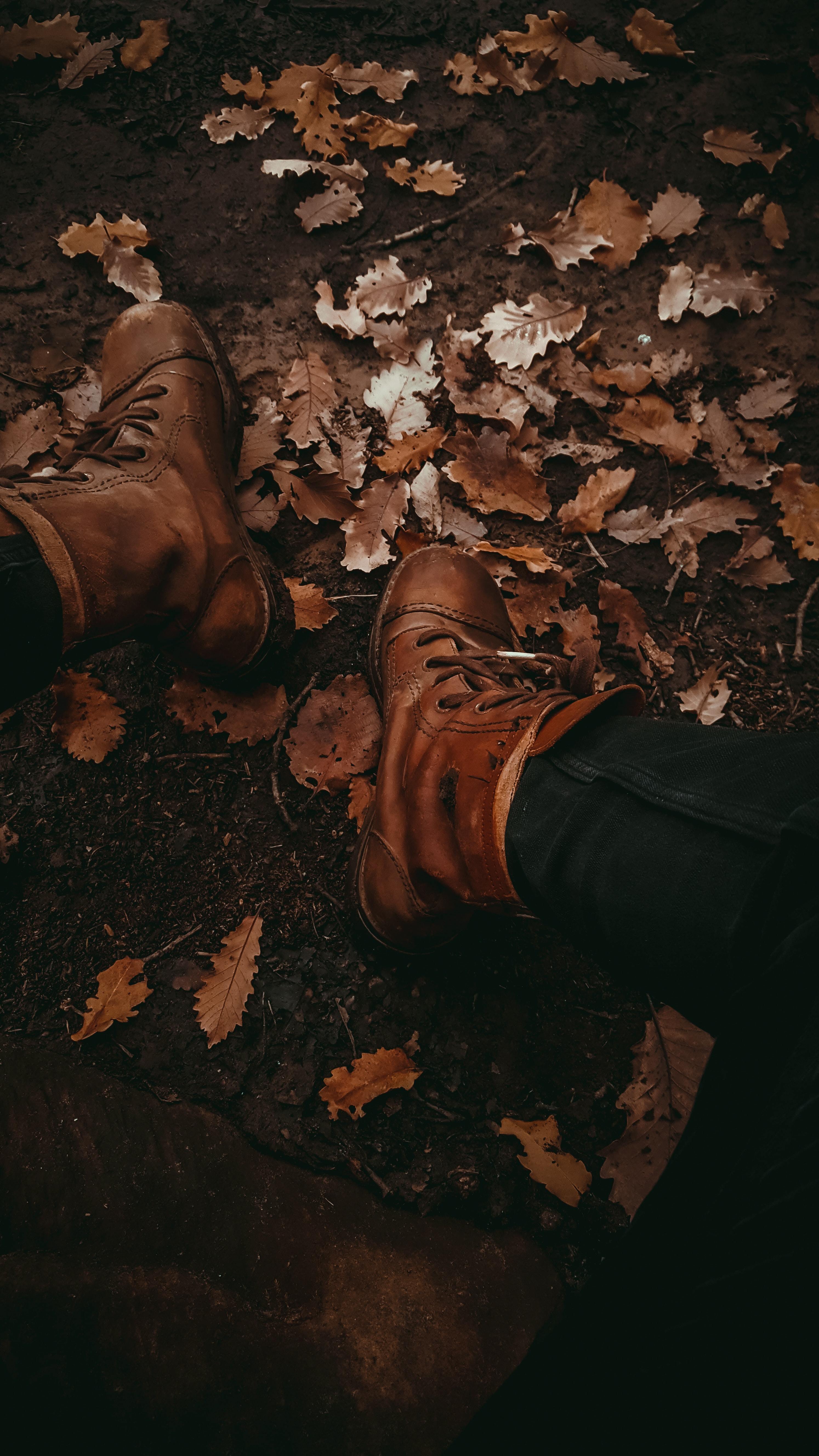 Leather Boots - Leather Material, 6 Inches Shaft Height, Brown Color | Rubber Sole, Lace-up Closure, Comfortable Fit For All-day Wear