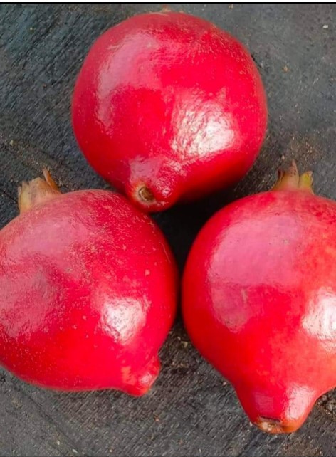 Red Fresh Pomegranate