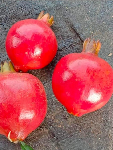 Red Fresh Pomegranate
