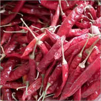 सूखा सनम 334