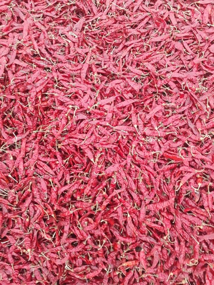Red Chillies