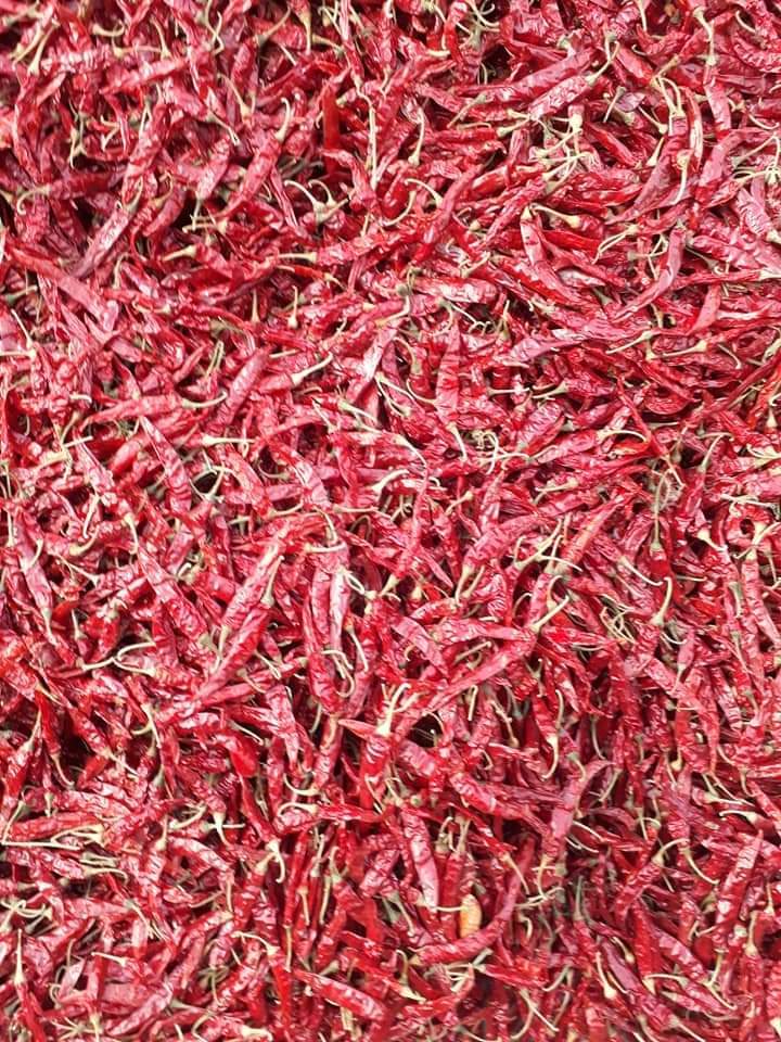Red Chillies