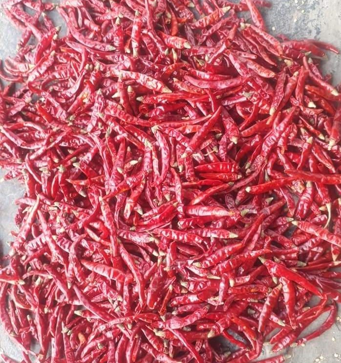 Red Chillies