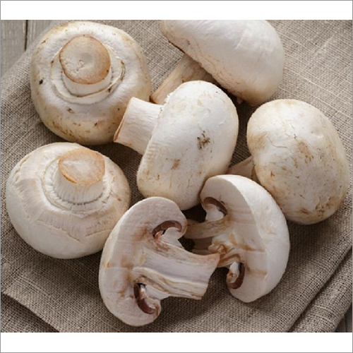 Fresh Button Mushroom - Medium Size, White Color - Firm Texture, Ideal For Refrigerated Storage With 7 Days Shelf Life