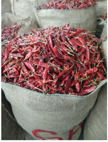 Red Chilli By M G Enterprises